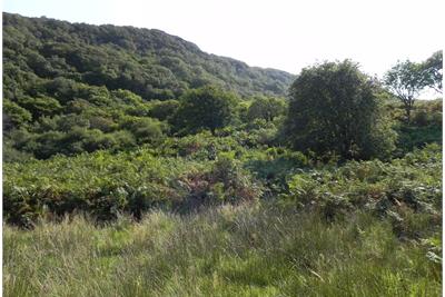 Building Plots, Arrina,
Strathcarron,
IV54 8XU - image 3