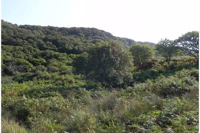 Building Plots, Arrina,
Strathcarron,
IV54 8XU - image 1