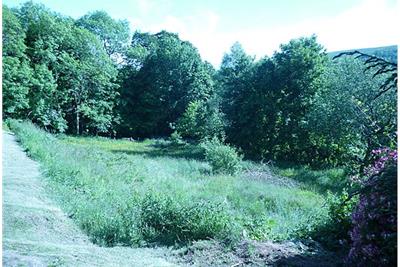 Building Plot, 23 Whitaside, Langholm, DG13 0JS - image 2