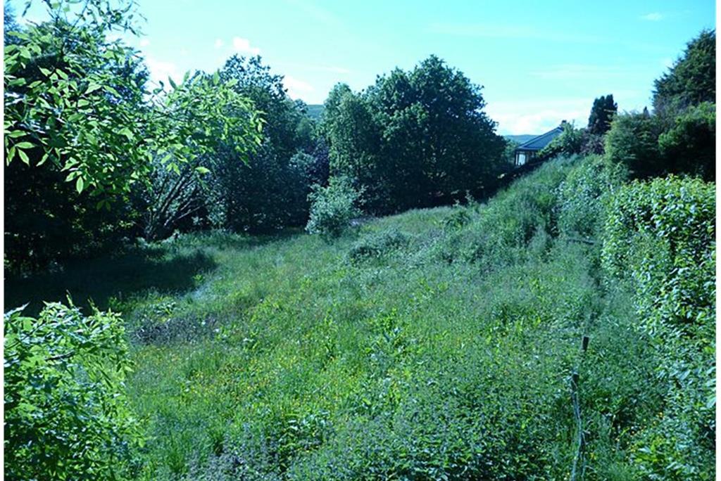 Building Plot, 23 Whitaside, Langholm, DG13 0JS - image 3