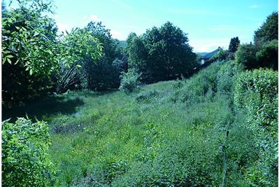 Building Plot, 23 Whitaside, Langholm, DG13 0JS - image 3