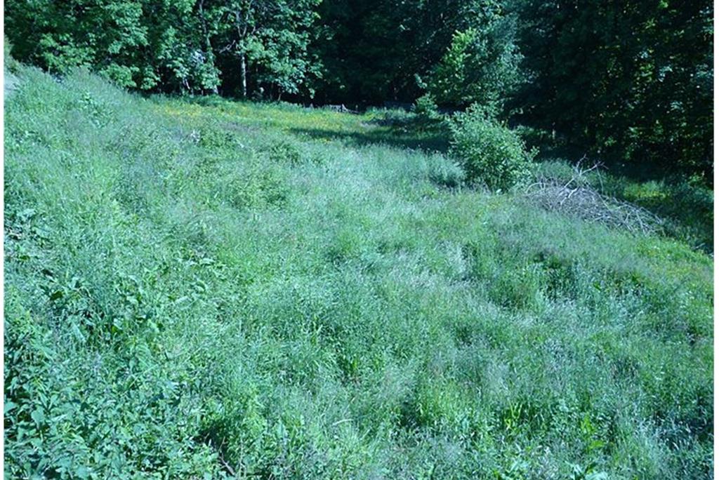 Building Plot, 23 Whitaside, Langholm, DG13 0JS - image 4