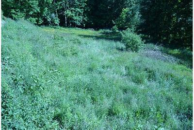 Building Plot, 23 Whitaside, Langholm, DG13 0JS - image 4