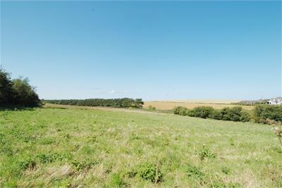 Development Site
Woodbine Grove
Burnmouth
TD14 5RT - image 3