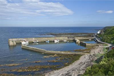 Development Site
Woodbine Grove
Burnmouth
TD14 5RT - image 5