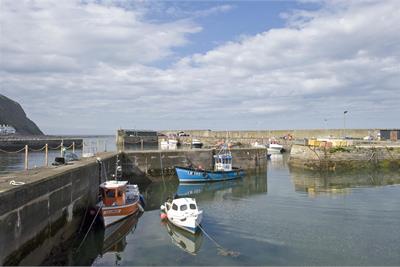 Development Site
Woodbine Grove
Burnmouth
TD14 5RT - image 8