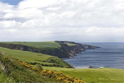 Development Site
Woodbine Grove
Burnmouth
TD14 5RT - image 9