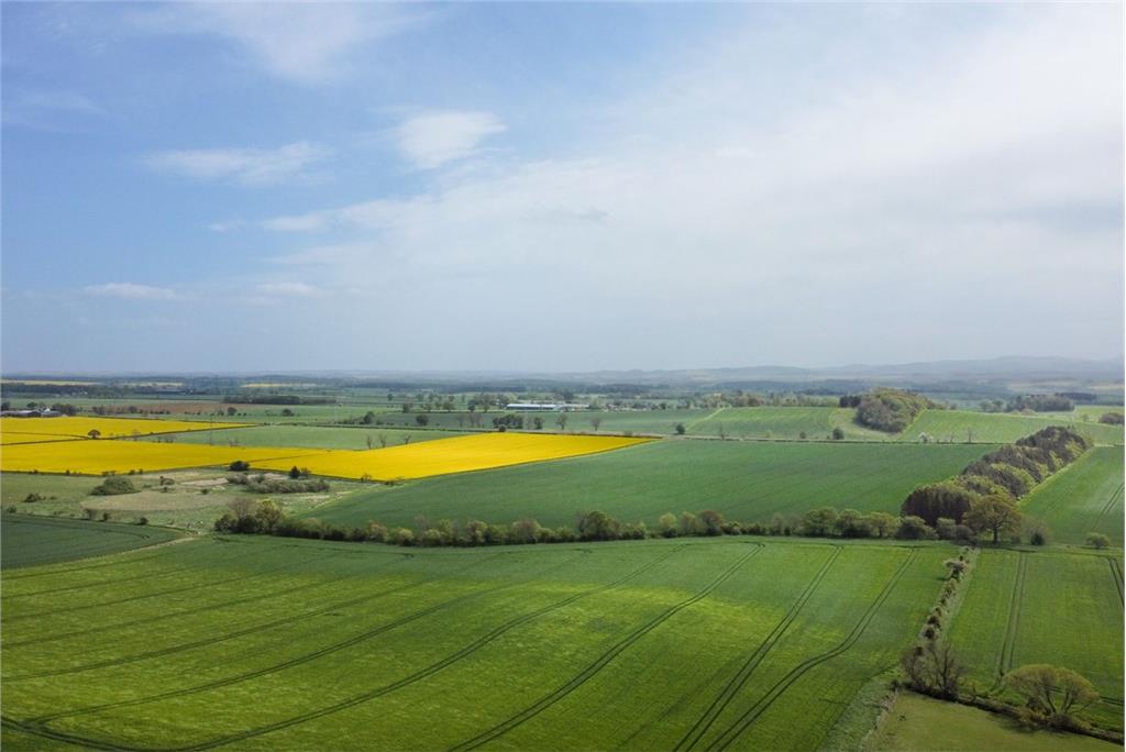 Plot 4
Hardacres Farm
Near Eccles
Kelso - image 7