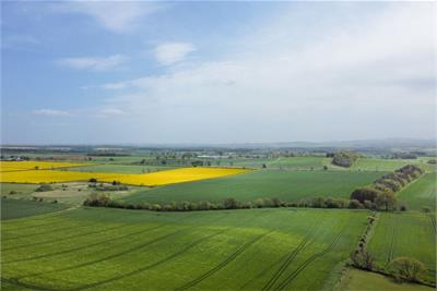 Plot 4
Hardacres Farm
Near Eccles
Kelso - image 7