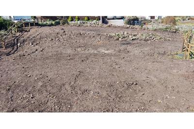 Plot of land South East of Garthrig, TD8 6SU - image 11