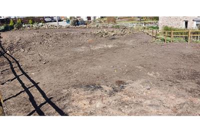 Plot of land South East of Garthrig, TD8 6SU - image 13