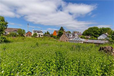 Plot of land South East of Garthrig, TD8 6SU - image 5