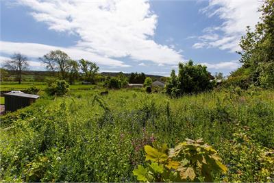 Plot of land South East of Garthrig, TD8 6SU - image 6
