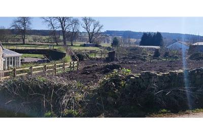 Plot of land South East of Garthrig, TD8 6SU - image 10