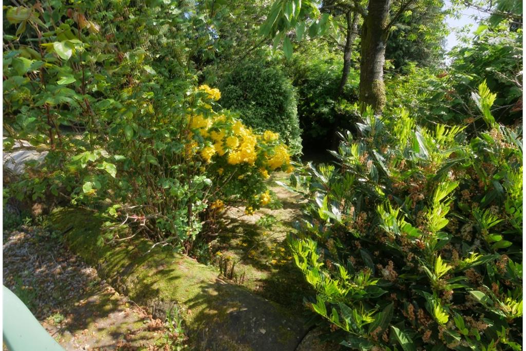 The Bungalow
Kirkconnel Hall Hotel
Ecclefechan
Lockerbie
DG11 3JH - image 6