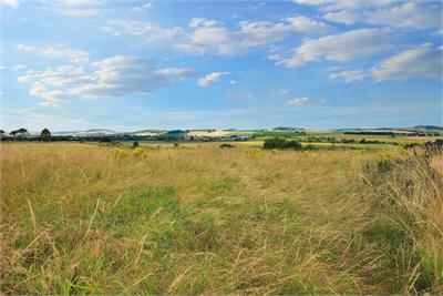 Craigview,
3 Cairngreen,
Cupar,
KY15 5SY - image 11