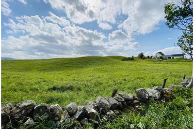 Plot of Land at
Old Moss Side
Dunscore
Dumfries DG2 0SY - image 4