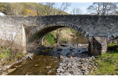 3 Whitlaw Gardens, Hawick - image 37