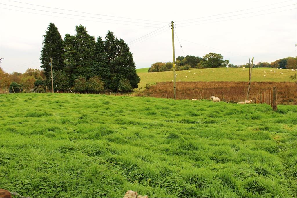 Plot at Templand Farm,
Templand,
Lockerbie,
DG11 1TE - image 2