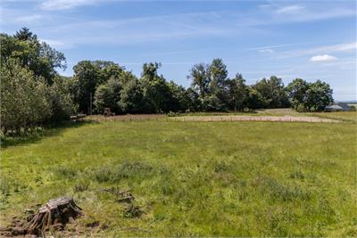 Building Plot,
Eagle Hall,
Spottiswoode,
Gordon,
TD3 6NQ - image 5