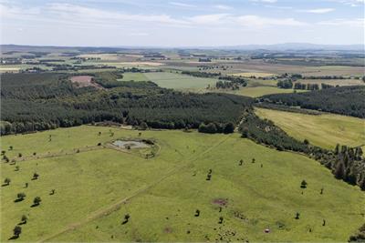 Building Plot,
Eagle Hall,
Spottiswoode,
Gordon,
TD3 6NQ - image 10