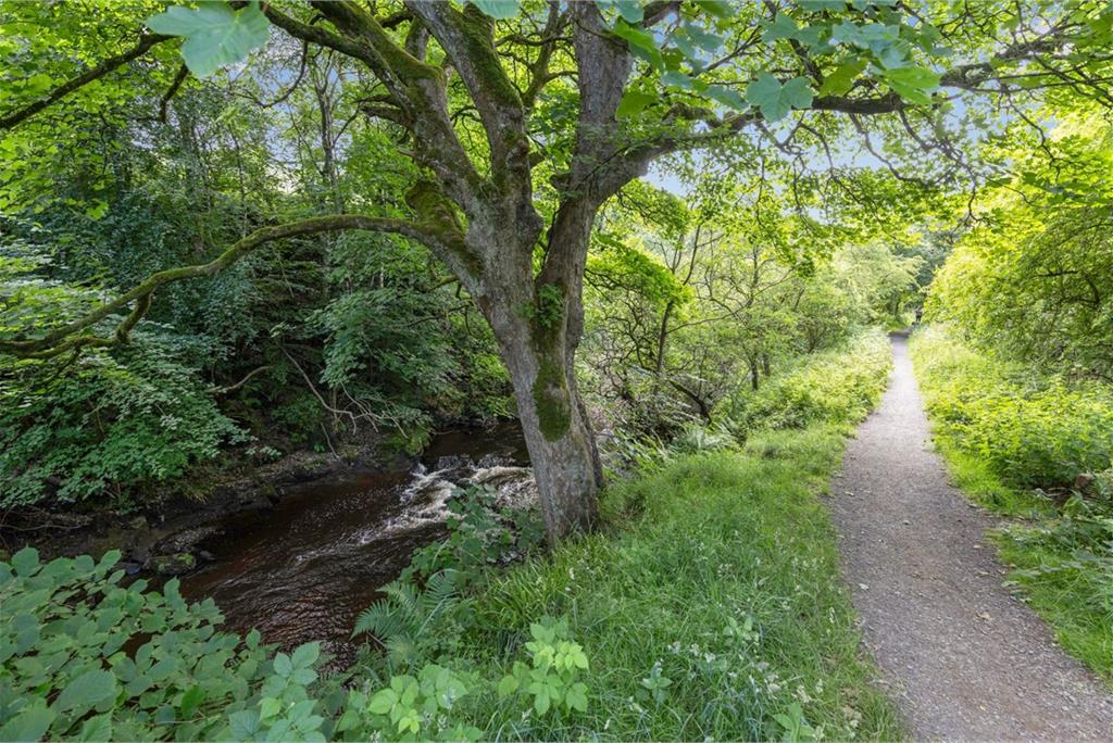 17 Esk Bridge, Penicuik, EH26 8QR - image 21