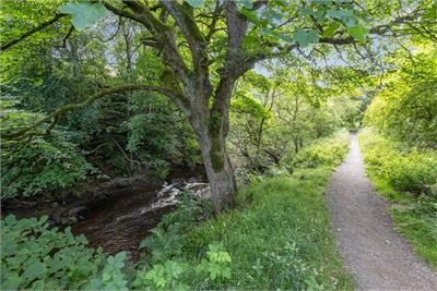 17 Esk Bridge, Penicuik, EH26 8QR - image 21