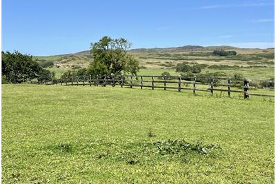 Nabny Steading,
Dundrennan,
Kirkcudbright,
DG6 4QF - image 32