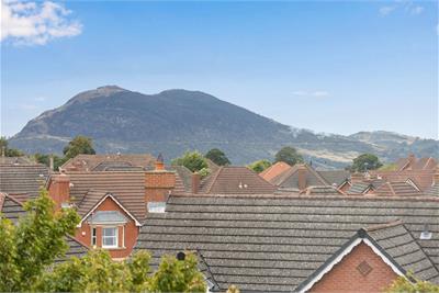 6 Mount Alvernia, Liberton, Edinburgh, EH16 6AW - image 17