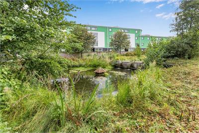 10/5 Slateford Green, Slateford, Edinburgh, EH14 1NE - image 15