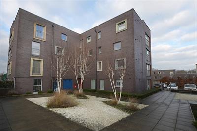 Flat 4, 1 Harewood Road, Niddrie Mains, EH16 4GF - image 16