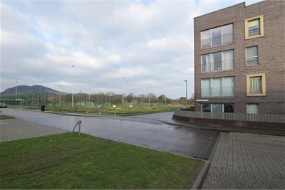 Flat 4, 1 Harewood Road, Niddrie Mains, EH16 4GF - image 18