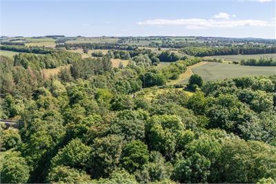 Braeside House,
Todheugh,
Duns,
TD11 3PZ - image 25