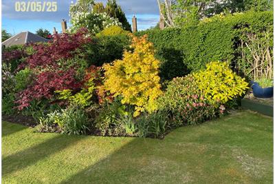 7 East Caiystane Road, Edinburgh, EH10 6RP - image 24