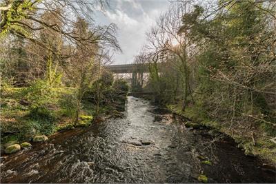 2/7 Lorimer View, Edinburgh, EH14 5DL - image 22