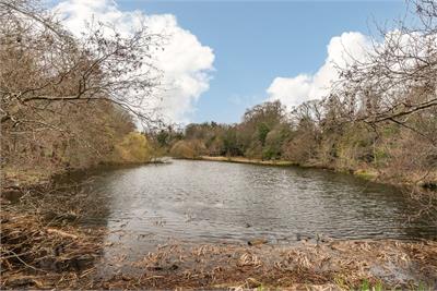 17 1F Cluny Gardens, Edinburgh, EH10 6BH - image 28