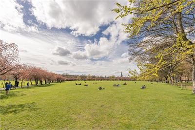 Flat 25,
28 Simpson Loan,
Edinburgh,
EH3 9GG - image 29