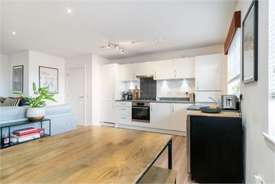 6 Milne Meadows, Musselburgh, East Lothian, EH21 8TA - image 5