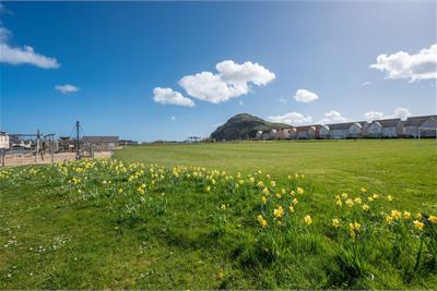 12 Lauder Rambling, North Berwick, East Lothian, EH39 5PU - image 8