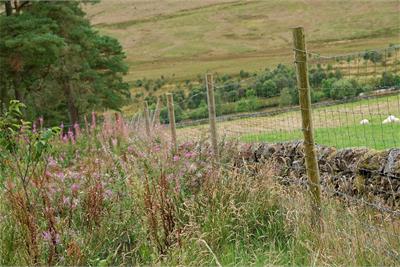 Allershaw House, Elvanfoot, Biggar, ML12 6TJ - image 34