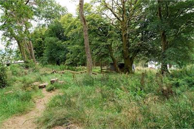 Allershaw House, Elvanfoot, Biggar, ML12 6TJ - image 36