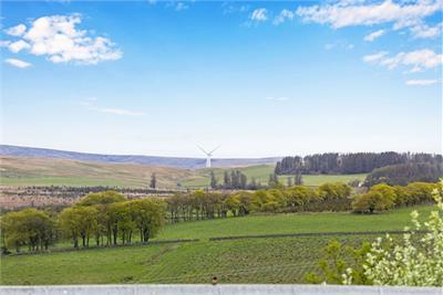 Hilltop Cottage, Nettlingflat, Heriot, Borders, EH38 5YF - image 35