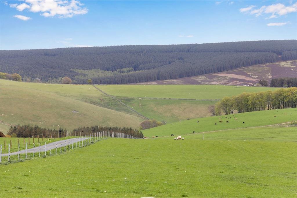 Hilltop Cottage, Nettlingflat, Heriot, Borders, EH38 5YF - image 37
