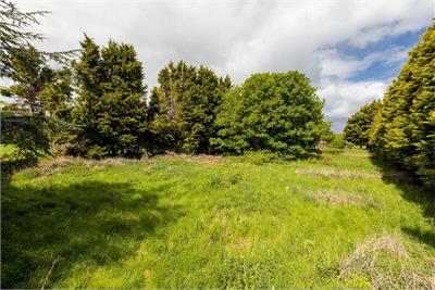 Speedwell Gardens, Dirleton - image 13