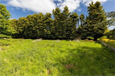 Speedwell Gardens, Dirleton - image 14