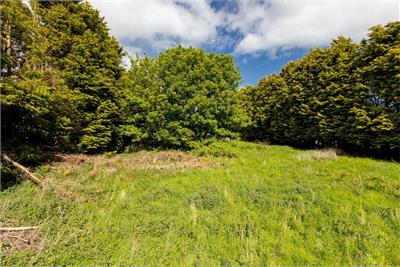 Speedwell Gardens, Dirleton - image 15