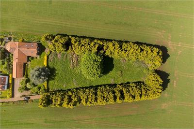 Speedwell Gardens, Dirleton - image 16