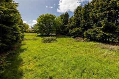 Speedwell Gardens, Dirleton - image 17