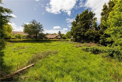 Speedwell Gardens, Dirleton - image 18
