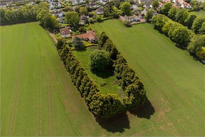 Speedwell Gardens, Dirleton - image 19